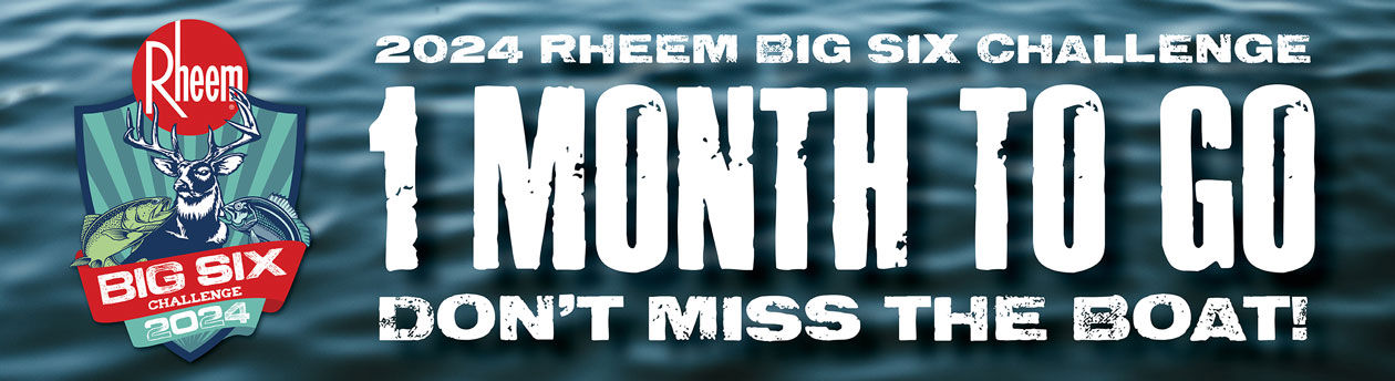 Rheem Big 6 2024 One Month To Go