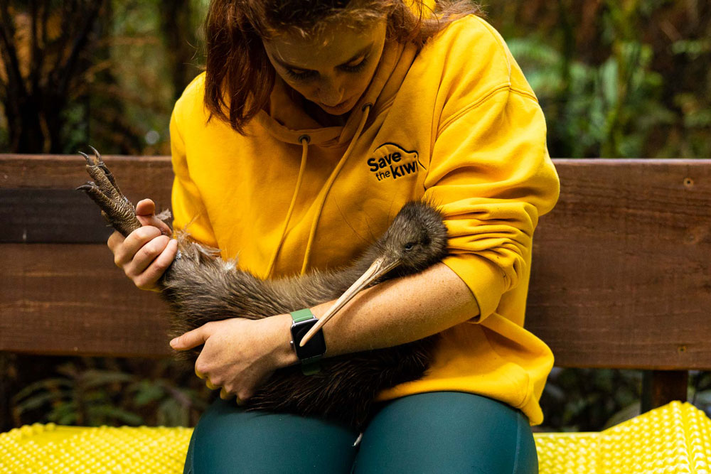 Kiwi Volunteers Kiwi Volunteers